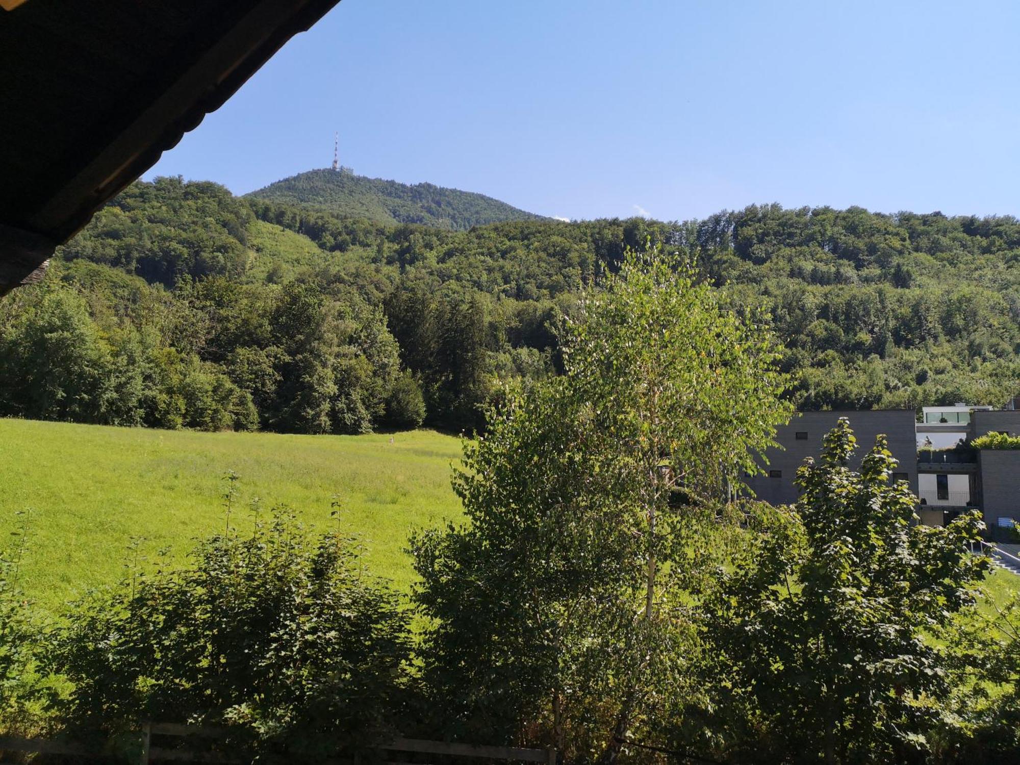 Apartment Gaisberg Blick Guggenthal